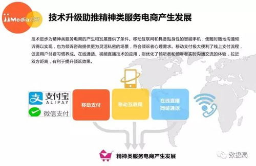 2017上半年中国精神类服务电商市场研究报告